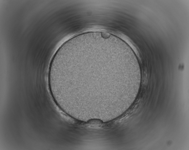 X0000097630861200803281058