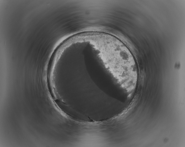 X0000097630862200803281058