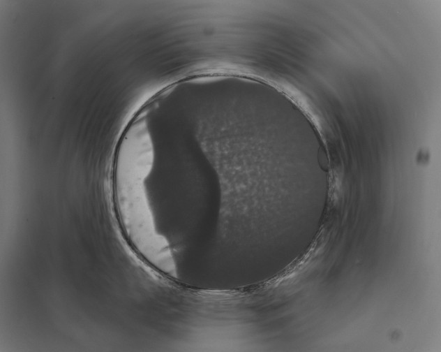 X0000097630863200803281058