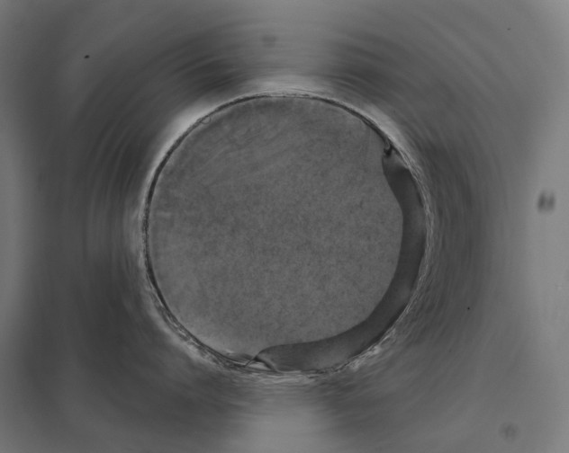 X0000097630864200803281058