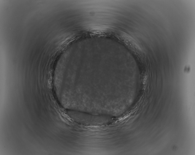 X0000097630868200803281058