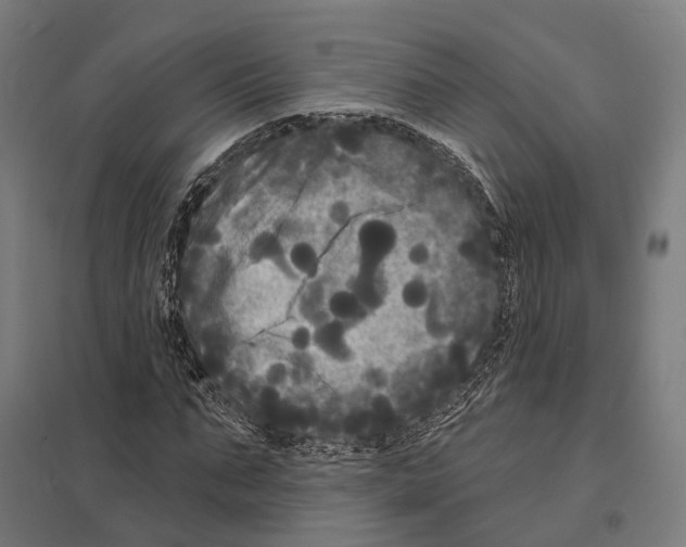 X0000097630871200803281058
