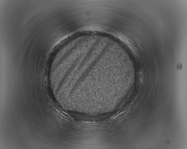 X0000097630872200803281058