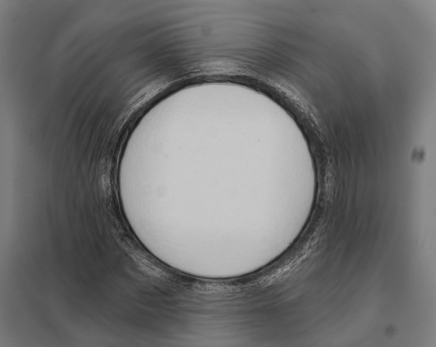 X0000097630873200803281058