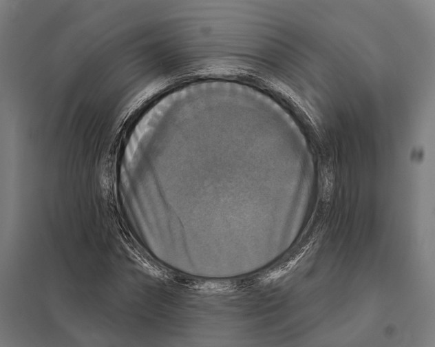 X0000097630874200803281058