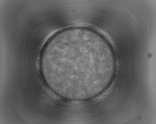 X0000097630875200803281058