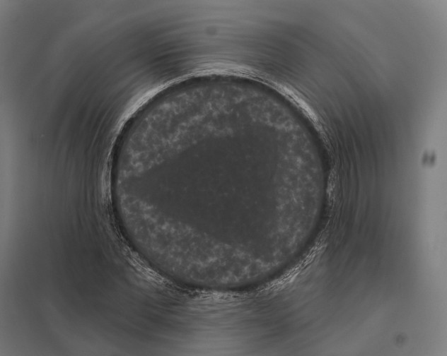 X0000097630877200803281058