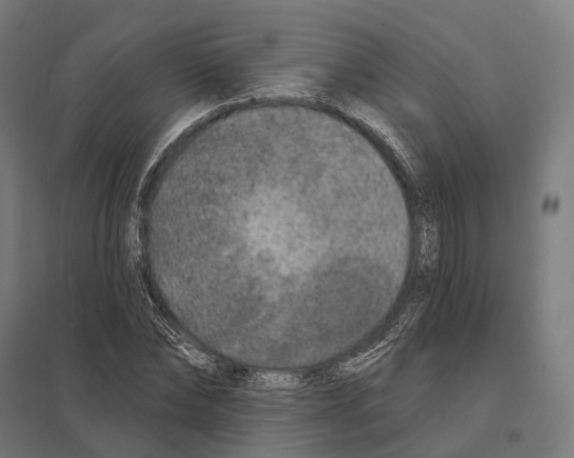 X0000097630878200803281058