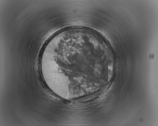 X0000097630879200803281058