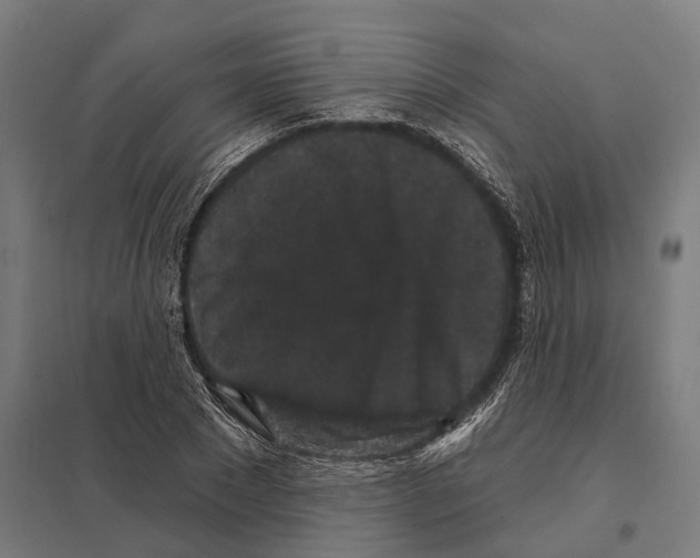 X0000097630881200803281058