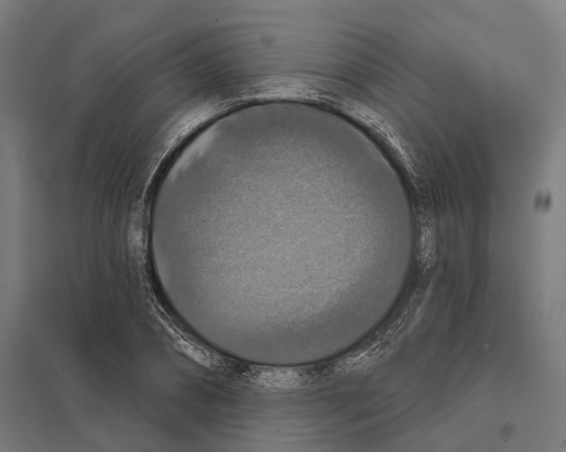 X0000097630882200803281058
