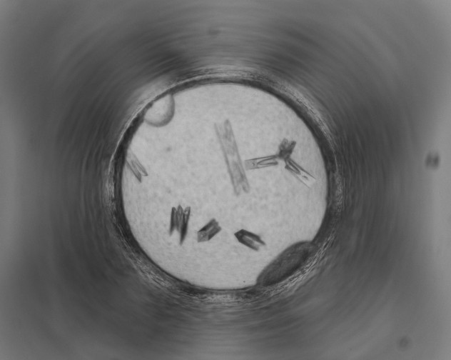 X0000097630883200803281058