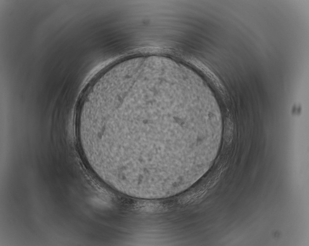 X0000097630886200803281057
