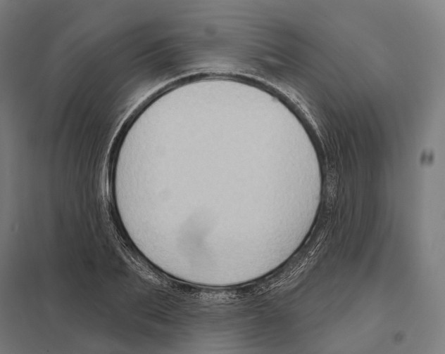 X0000097630887200803281057