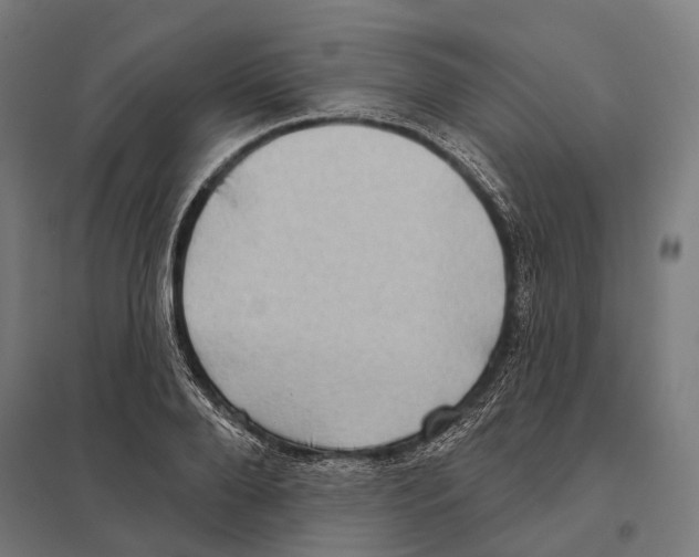 X0000097630888200803281057