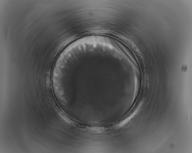 X0000097630889200803281057