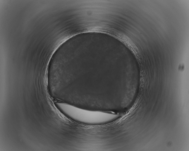X0000097630892200803281057