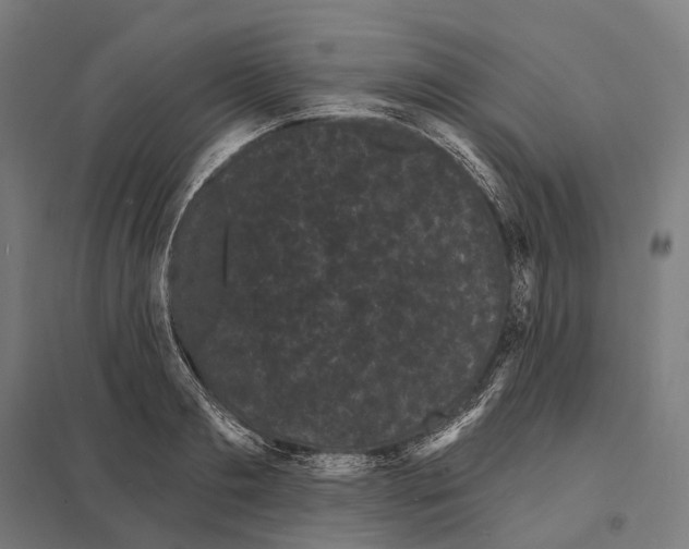 X0000097630893200803281057
