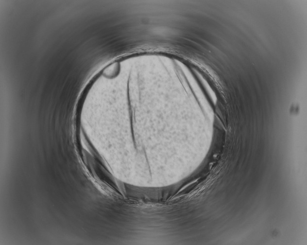 X0000097630894200803281057