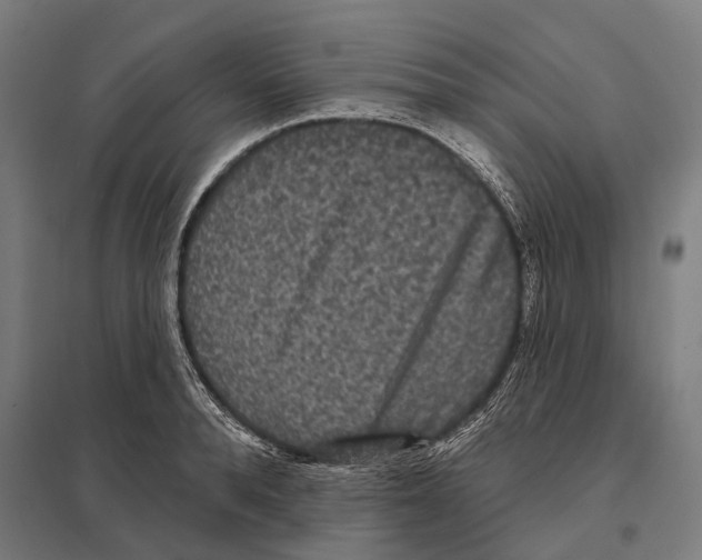X0000097630896200803281057