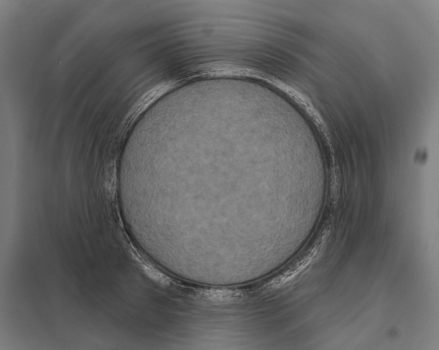 X0000097630897200803281057