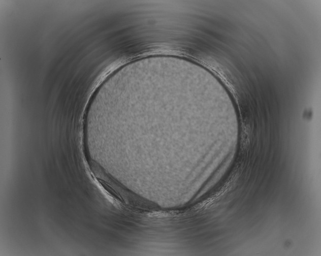 X0000097630898200803281057