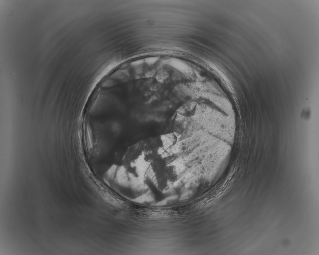 X0000097630899200803281057