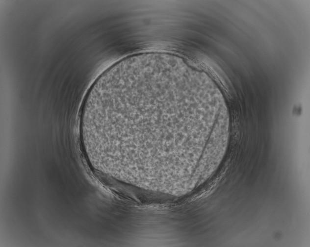 X0000097630900200803281057