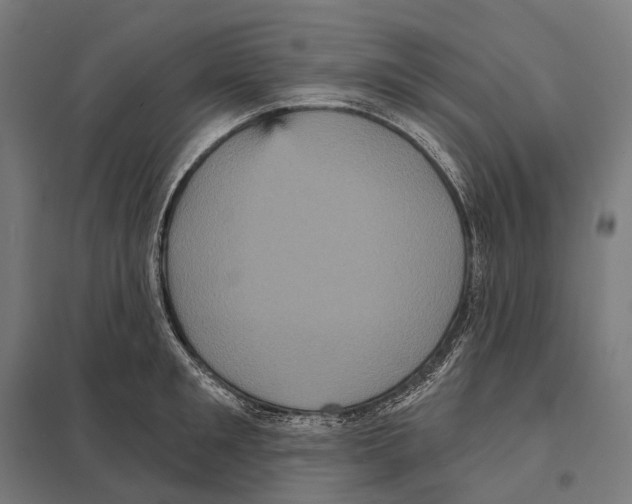 X0000097630901200803281057