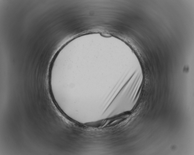 X0000097630902200803281057