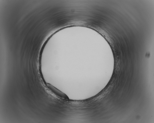 X0000097630904200803281057