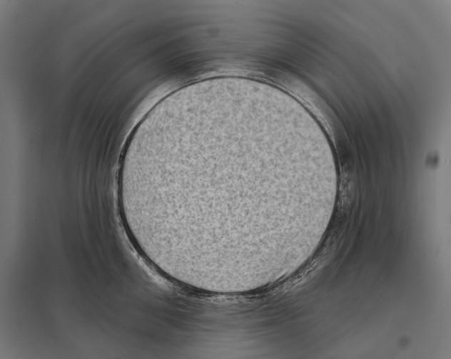 X0000097630906200803281057