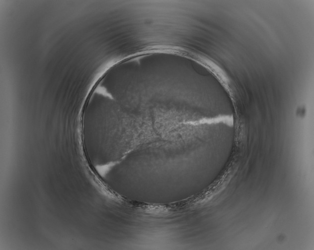 X0000097630907200803281057