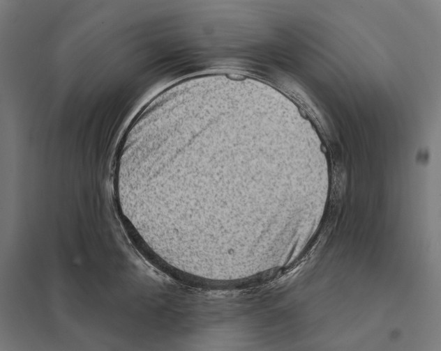 X0000097630908200803281057