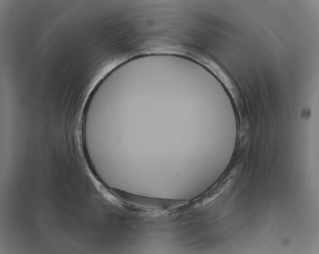 X0000097630909200803281057
