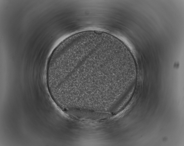 X0000097630910200803281057