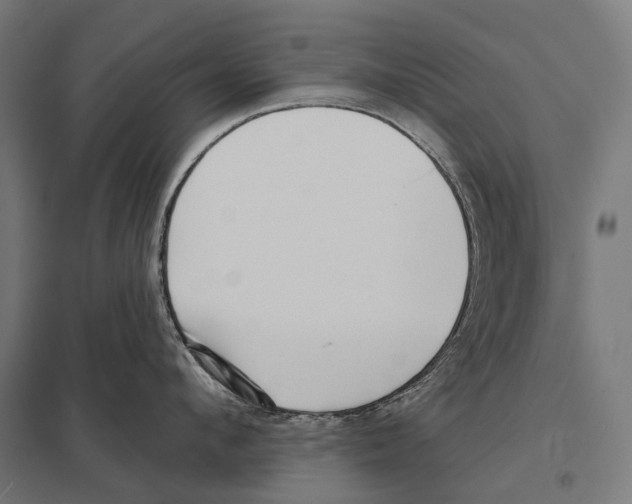 X0000097630912200803281057