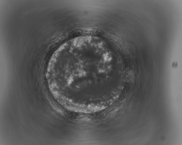 X0000097630913200803281056