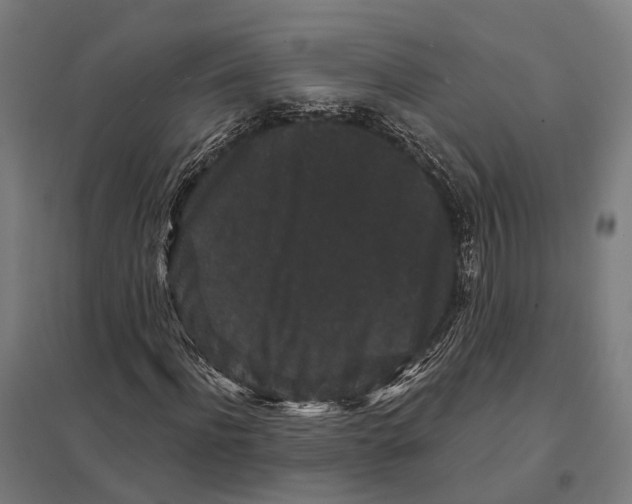 X0000097630916200803281056