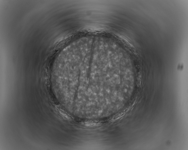 X0000097630917200803281056