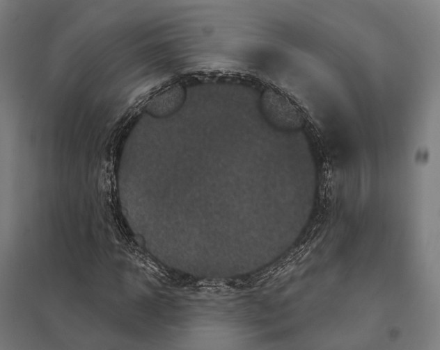 X0000097630918200803281056
