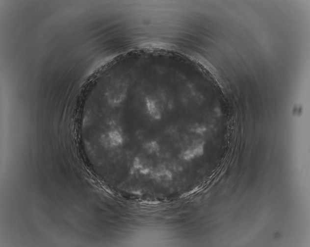 X0000097630919200803281056