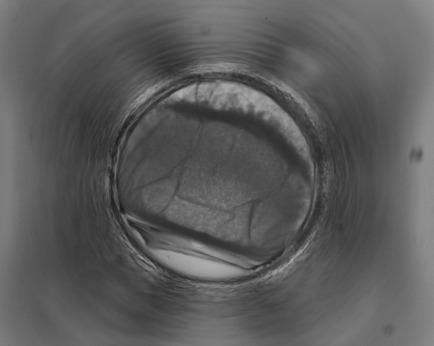 X0000097630921200803281056