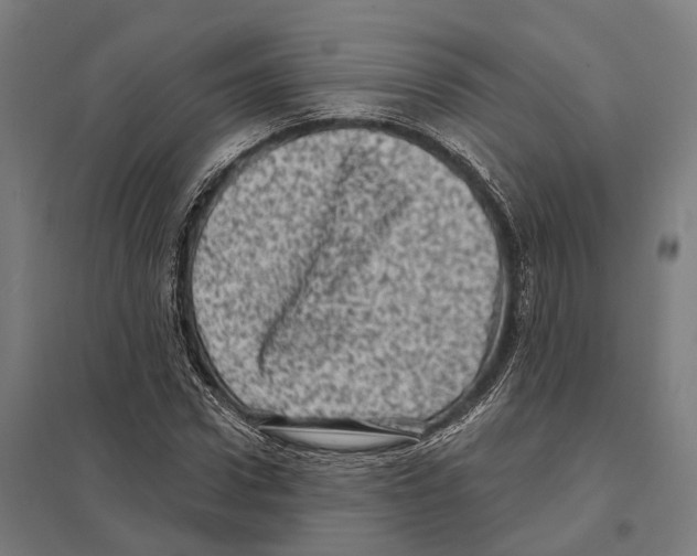 X0000097630922200803281056