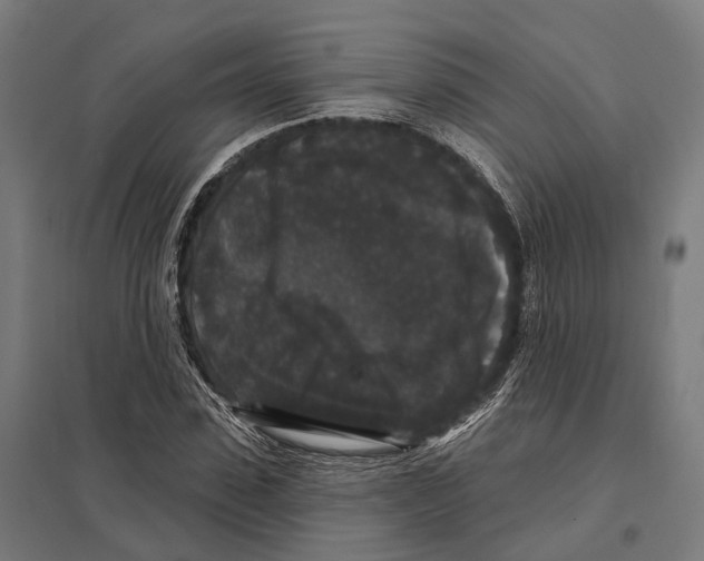 X0000097630923200803281056