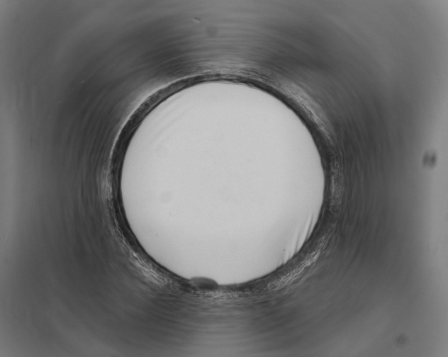 X0000097630924200803281056