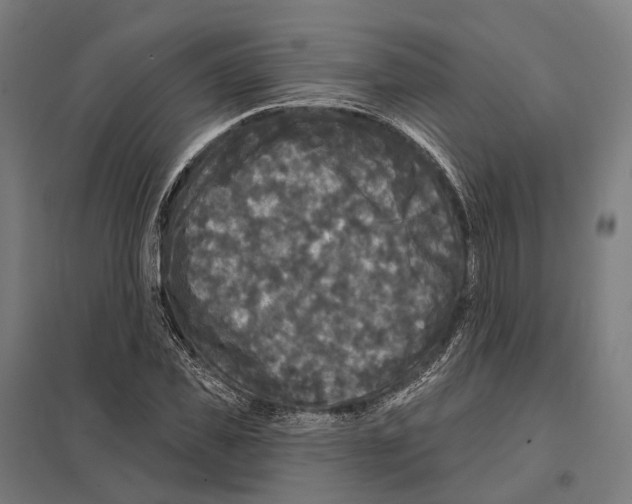 X0000097630925200803281056