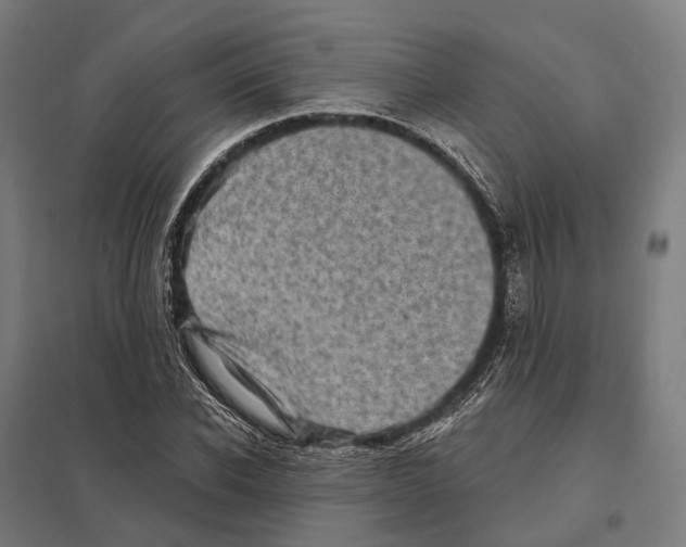 X0000097630926200803281056