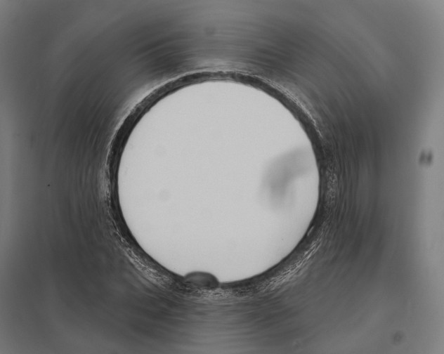 X0000097630927200803281056