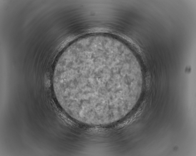 X0000097630929200803281056
